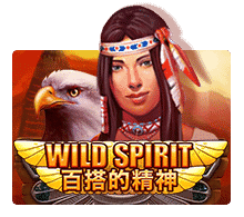 wildspirit