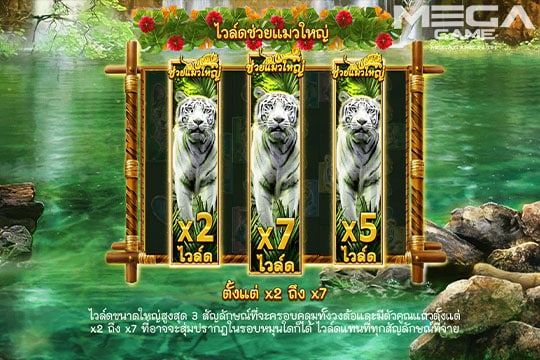 ฟีเจอร์ Big Cat Rescue Wilds