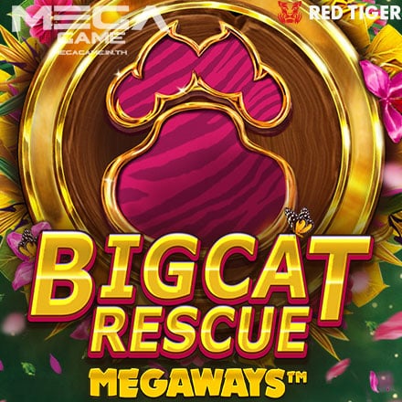 รูป Big Cat Rescue