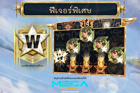 ฟีเจอร์ Special Features 1942 Sky Warrior