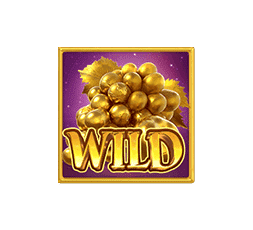 Midas Fortune WILD SYMBOL