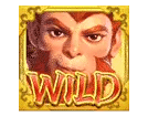 wild legenary monkey king