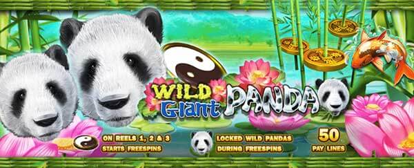 WILD GIANT PANDA