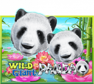 WILD GIANT PANDA