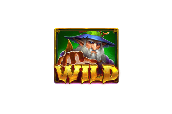 สัญลักษณ์ Wild Magicians Secrets