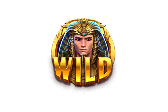 สัญลักษณ์ Wild Might of Ra