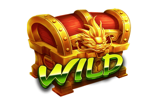 สัญลักษณ์ Wild Rise of Samurai 3