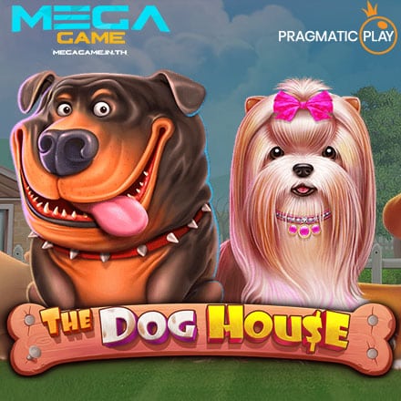 รูป The Dog House