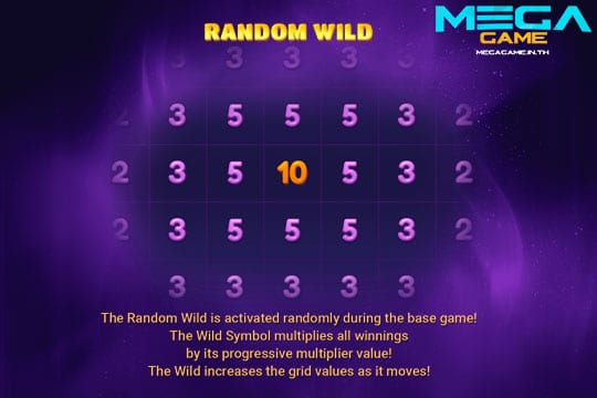 ฟีเจอร์ Random Wild