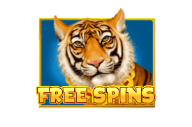 สัญลักษณ์ Free Spins Chinese Wilds